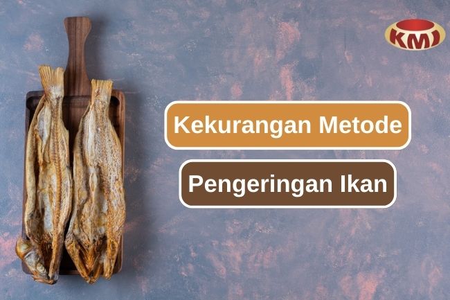 5 Kekurangan Metode Pengeringan Ikan